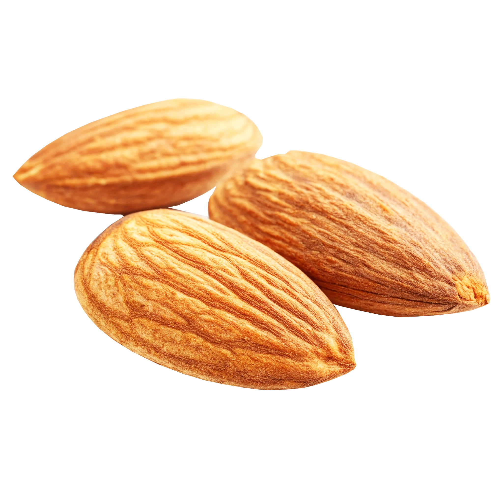প্রিমিয়াম কাঠ বাদাম | Premium Fresh Almond - Image 2