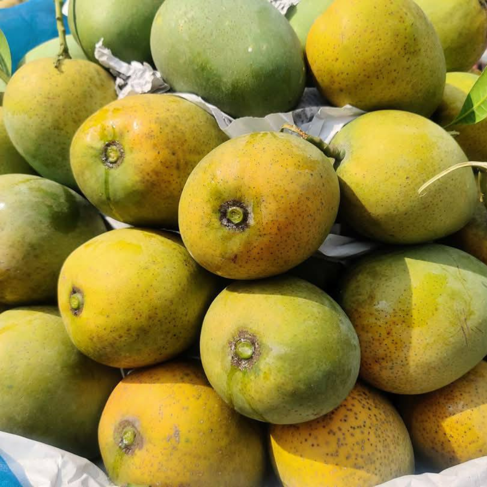 রাজশাহীর বিখ্যাত সুস্বাদু গোপালভোগ আম – ২০ কেজি - Image 4