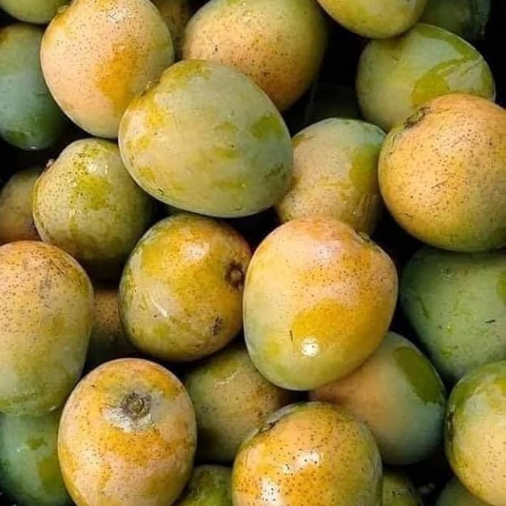 রাজশাহীর বিখ্যাত হিমসাগর আম ২৫ কেজি - Image 5